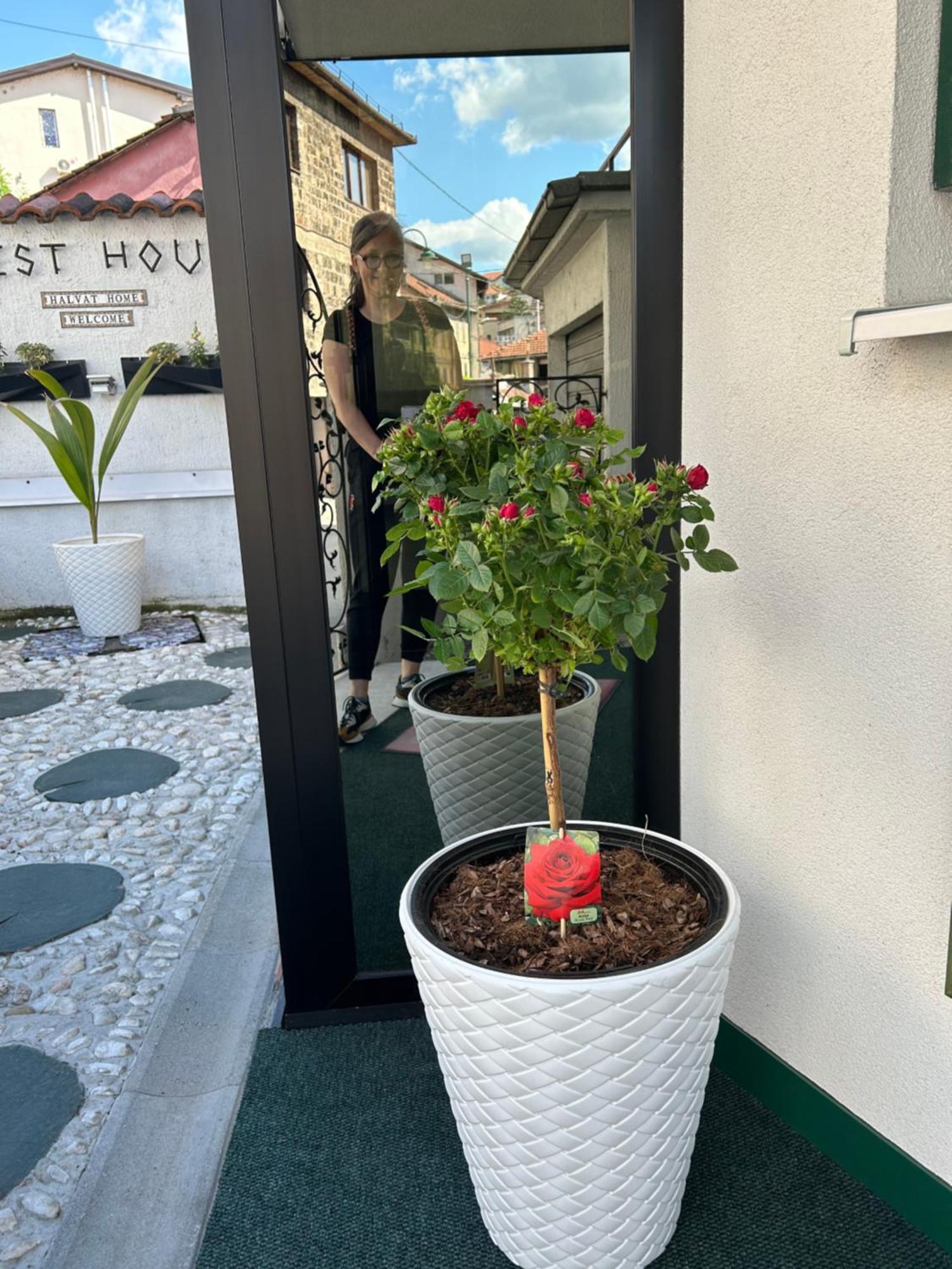 Halvat Guesthouse Saraievo Exterior foto