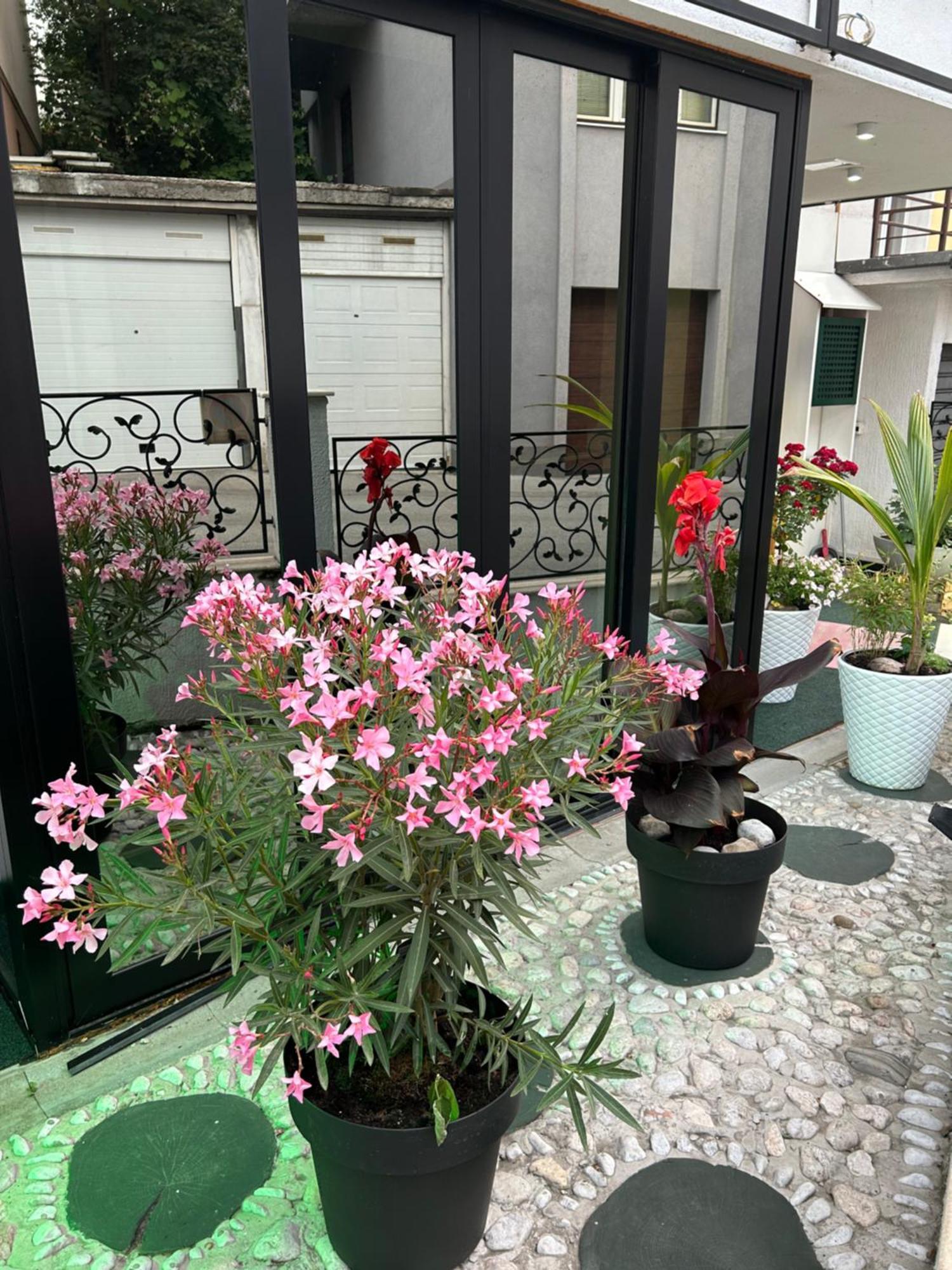 Halvat Guesthouse Saraievo Exterior foto